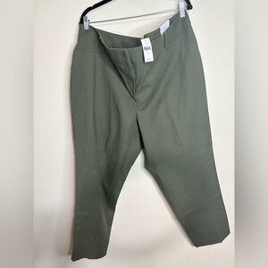 NWT! LOFT Riveria Marissa Sage Green Pants Size 20